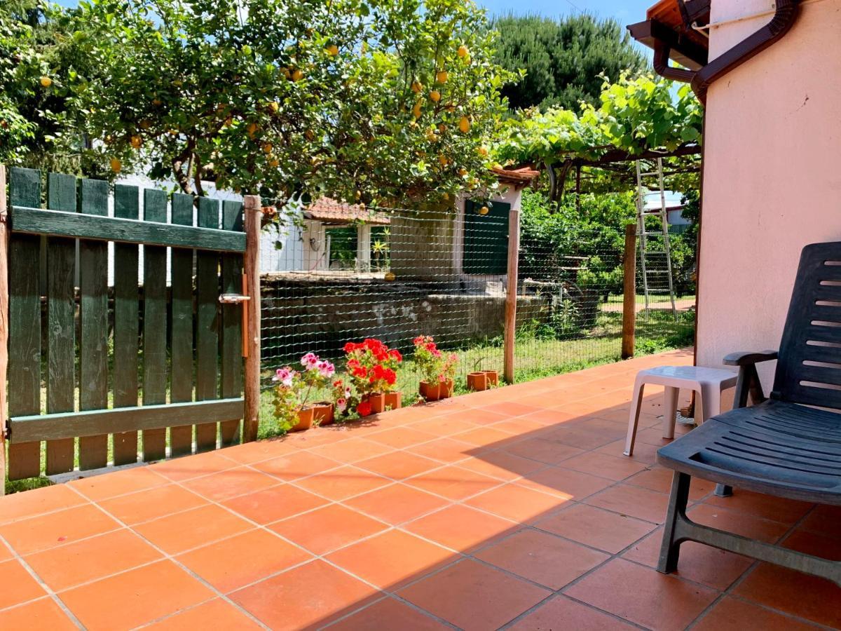 Casa Do Paco Aveiro Holidayhome Bagian luar foto